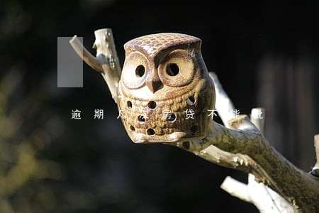 逾期几次房贷不能批 逾期几次房贷不能批