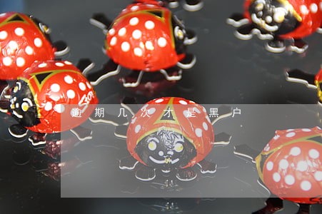 逾期几次才是黑户 逾期几次才是黑户