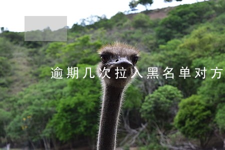 逾期几次拉入黑名单对方知道吗 逾期几次拉入黑名单对方知道吗