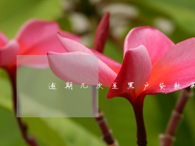 逾期几次是黑户贷款买房吗 逾期几次是黑户贷款买房吗