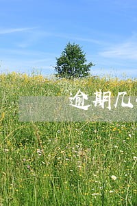 逾期几次能用网贷吗 逾期几次能用网贷吗