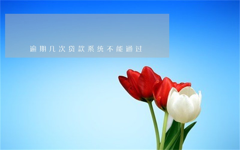 逾期几次贷款系统不能通过