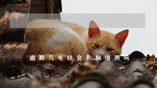 逾期几毛钱会影响信用吗 逾期几毛钱会影响信用吗