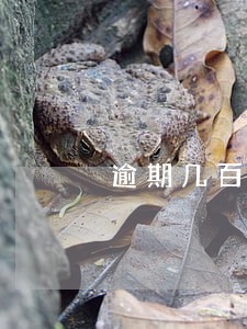 逾期几百会联系