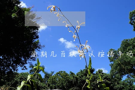 逾期几百块可以按揭车吗 逾期几百块可以按揭车吗