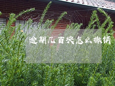 逾期几百块怎么撤销 逾期几百块怎么撤销