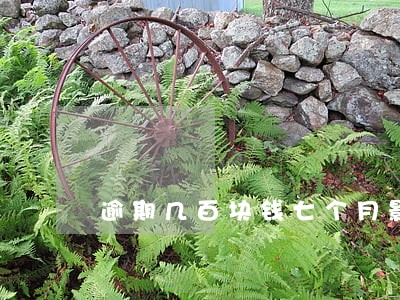 逾期几百块钱七个月影响买车么 逾期几百块钱七个月影响买车么