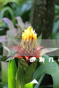 逾期几百块钱买车有影响没 逾期几百块钱买车有影响没