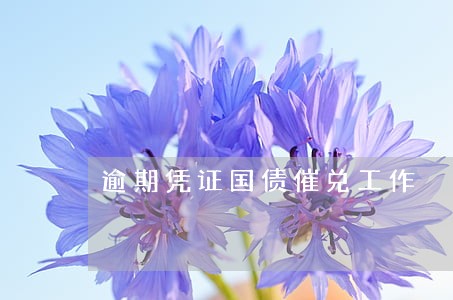 逾期凭证国债催兑工作
