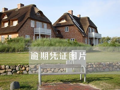 逾期凭证图片 逾期凭证图片