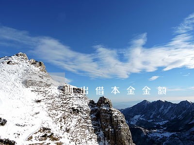 逾期出借本金金额 逾期出借本金金额