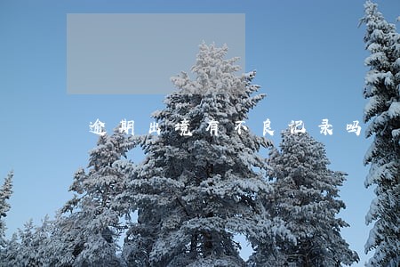 逾期出境有不良记录吗 逾期出境有不良记录吗