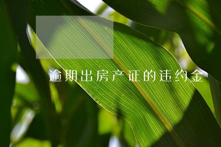 逾期出房产证的违约金 逾期出房产证的违约金
