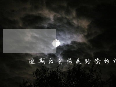 逾期出资损失赔偿的诉讼原告 逾期出资损失赔偿的诉讼原告