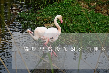 逾期出资股东对公司违约责任 逾期出资股东对公司违约责任