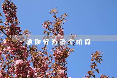 逾期分为三个阶段 逾期分为三个阶段