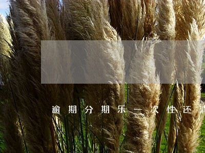 逾期分期乐一次性还清 逾期分期乐一次性还清