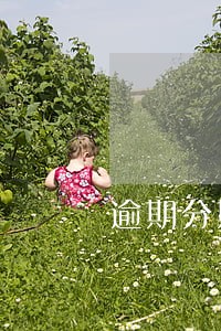 逾期分期乐一般会联系哪些人 逾期分期乐一般会联系哪些人