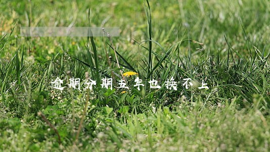 逾期分期五年也换不上 逾期分期五年也换不上