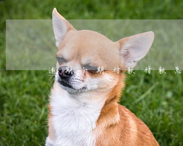 逾期分期付款付款怎么办 逾期分期付款付款怎么办