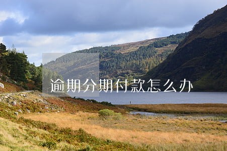 逾期分期付款怎么办