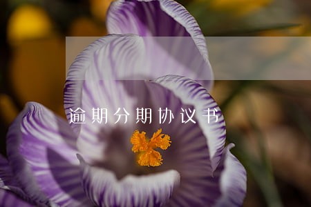 逾期分期协议书 逾期分期协议书