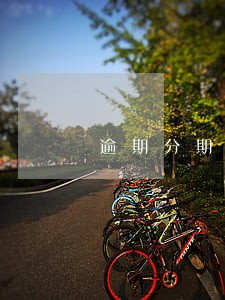 逾期分期只还本金 逾期分期只还本金
