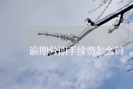 逾期分期手续费怎么算 逾期分期手续费怎么算