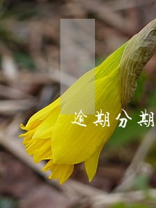 逾期分期申请一般需要什么 逾期分期申请一般需要什么