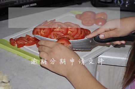 逾期分期申请文件 逾期分期申请文件