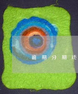 逾期分期还款协议 逾期分期还款协议