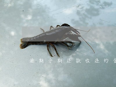 逾期分期还款收违约金 逾期分期还款收违约金