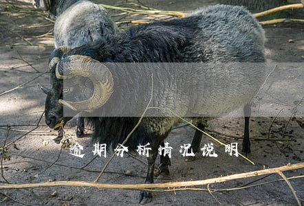 逾期分析情况说明 逾期分析情况说明