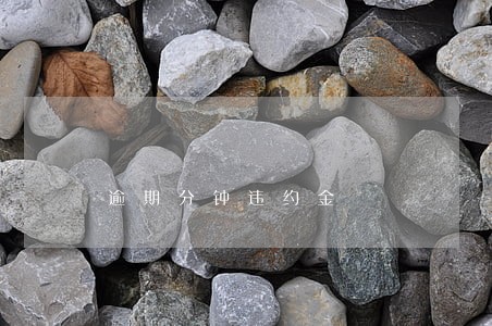 逾期分钟违约金 逾期分钟违约金