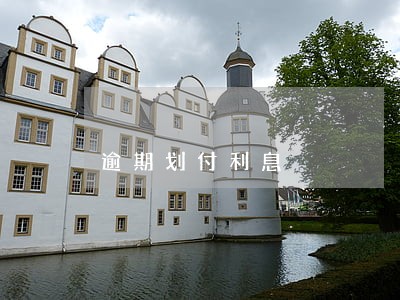 逾期划付利息 逾期划付利息