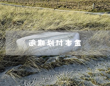 逾期划付本金