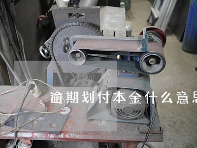 逾期划付本金什么意思
