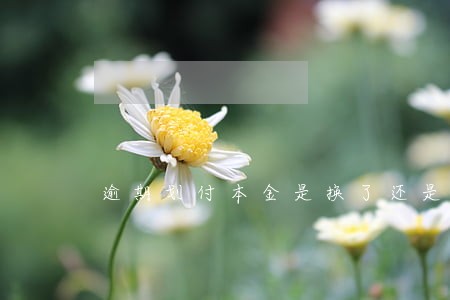 逾期划付本金是换了还是没还 逾期划付本金是换了还是没还