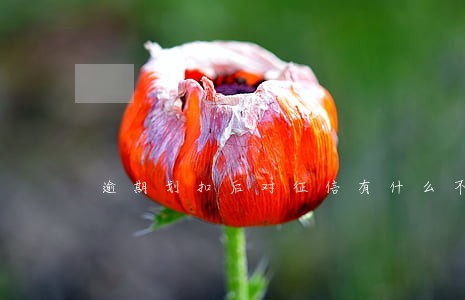 逾期划扣后对征信有什么不良记录 逾期划扣后对征信有什么不良记录