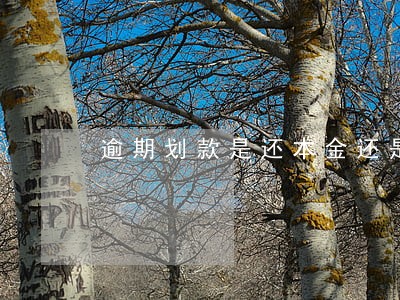 逾期划款是还本金还是还利息 逾期划款是还本金还是还利息
