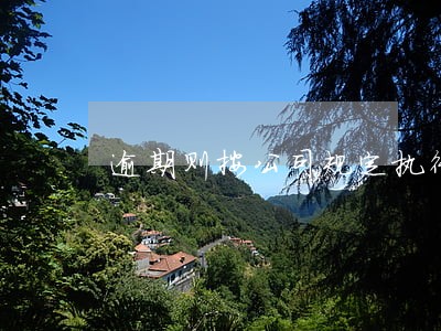 逾期则按公司规定执行是什么意思 逾期则按公司规定执行是什么意思