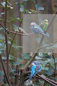 逾期刚好90天是否是超过90天 逾期刚好90天是否是超过90天