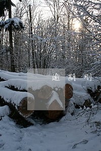 逾期刚还上征信多久显示出来