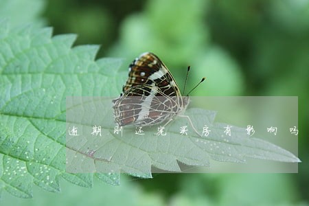 逾期刚还完买房有影响吗