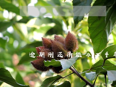 逾期刚还清能办二手车贷吗 逾期刚还清能办二手车贷吗