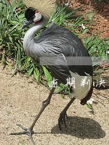 逾期判决程序违法吗 逾期判决程序违法吗