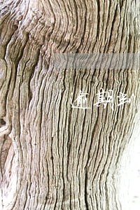 逾期判决赔偿 逾期判决赔偿
