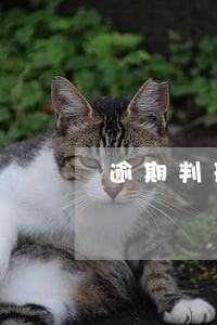 逾期判刑同时满足四个条件 逾期判刑同时满足四个条件