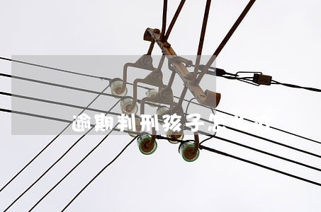 逾期判刑孩子怎么办 逾期判刑孩子怎么办