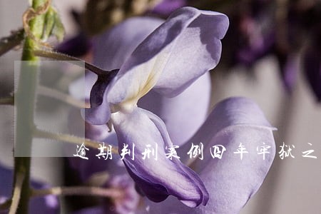 逾期判刑案例四年牢狱之灾 逾期判刑案例四年牢狱之灾